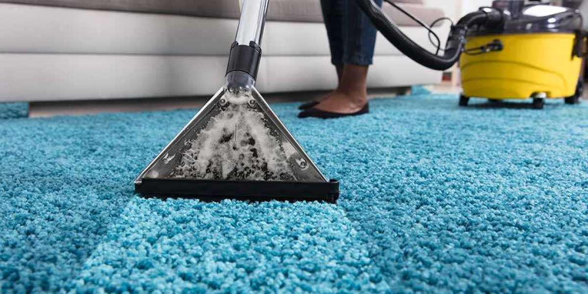 ﻿﻿Steam vs. Dry Carpet Cleaning: Which One is Best for You?