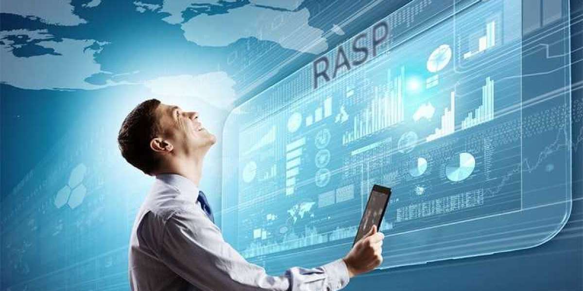 Runtime Application Self-Protection : Reinforcing Cybersecurity from Within