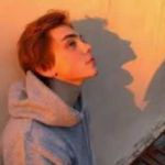 BouncyLion Profile Picture